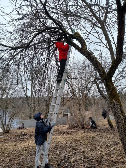 Мастер-класс учителя садоводства Вальдсдорфской школы г. Веймера..